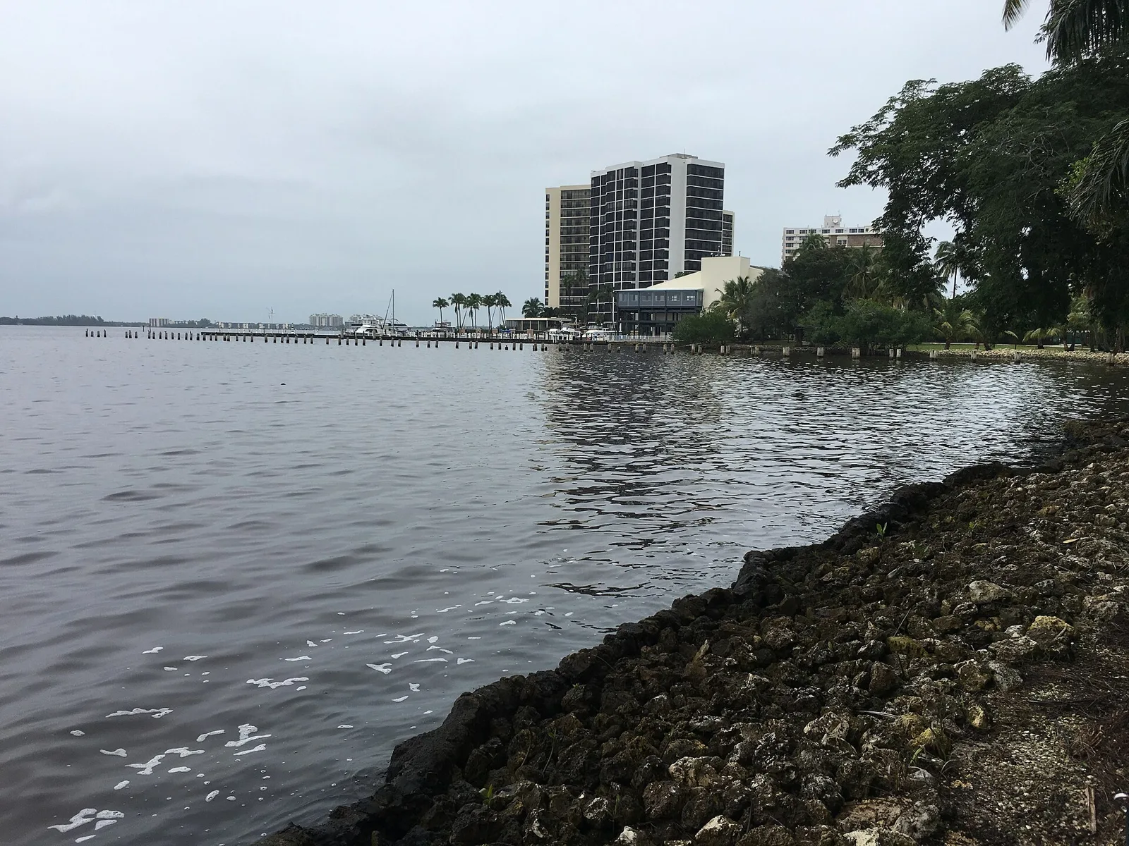 The Caloosahatchee River in Fort Myers, seen from the Edison and Ford Winter Estates.