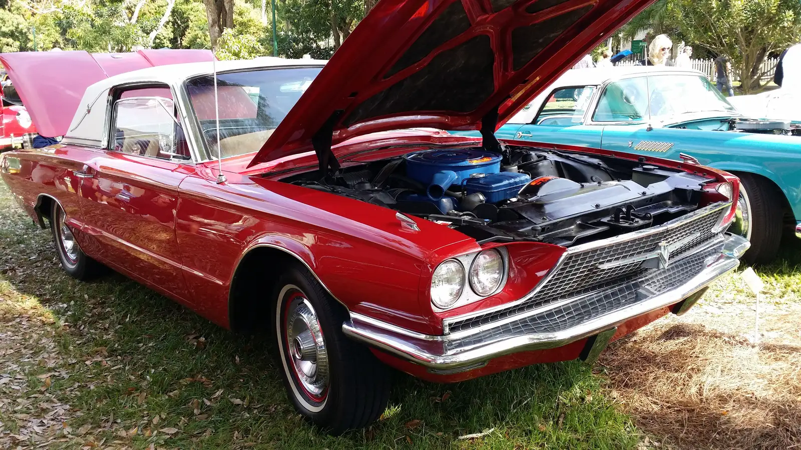 A classic Ford Thunderbird on the lawn at the Antique Car Show at the Edison and Ford Winter Estates in Fort Myers.