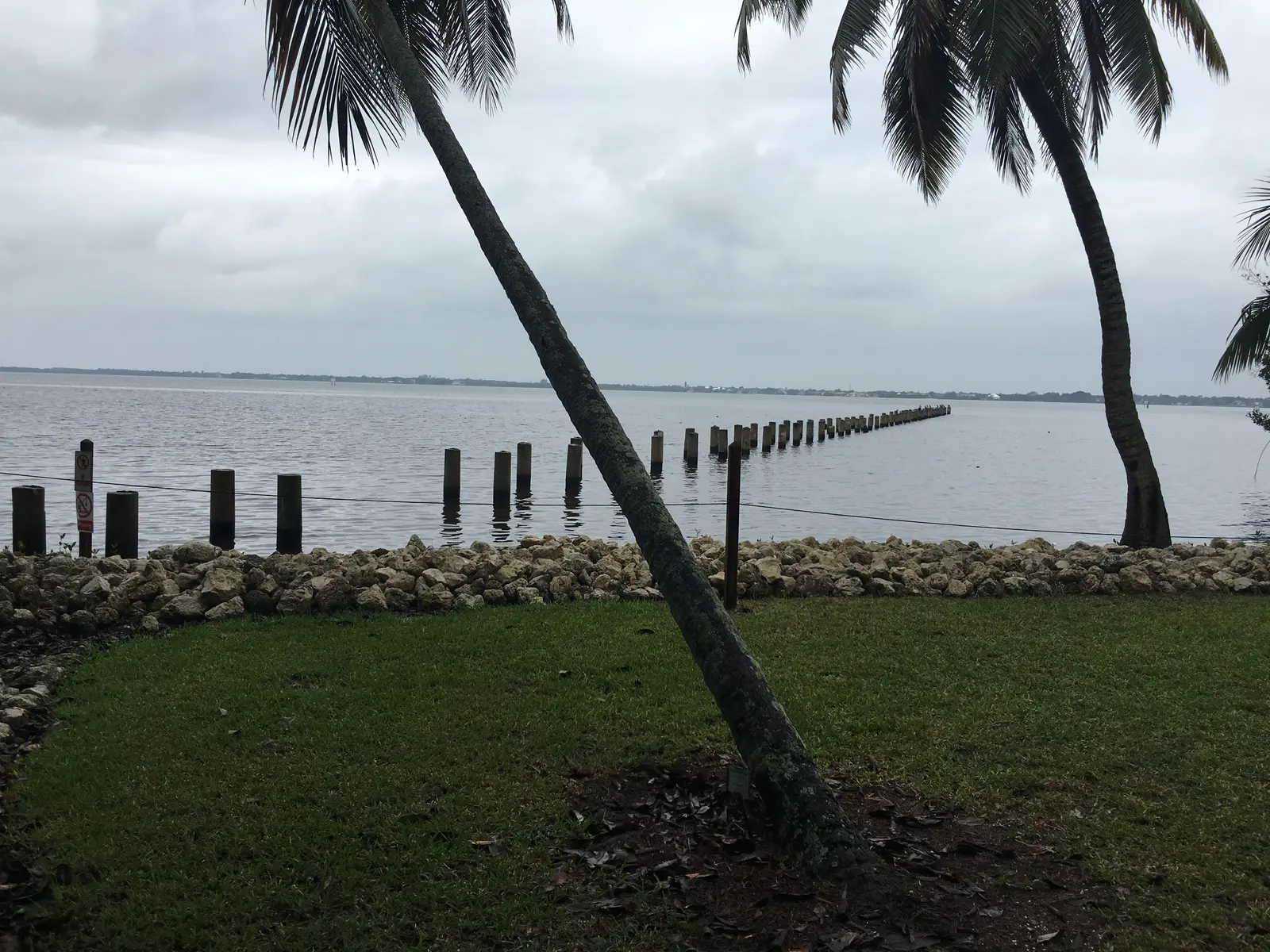 The pilings of the old pier at the Edison and Ford Winter Estates, reaching into the Caloosahatchee River in Fort Myers.