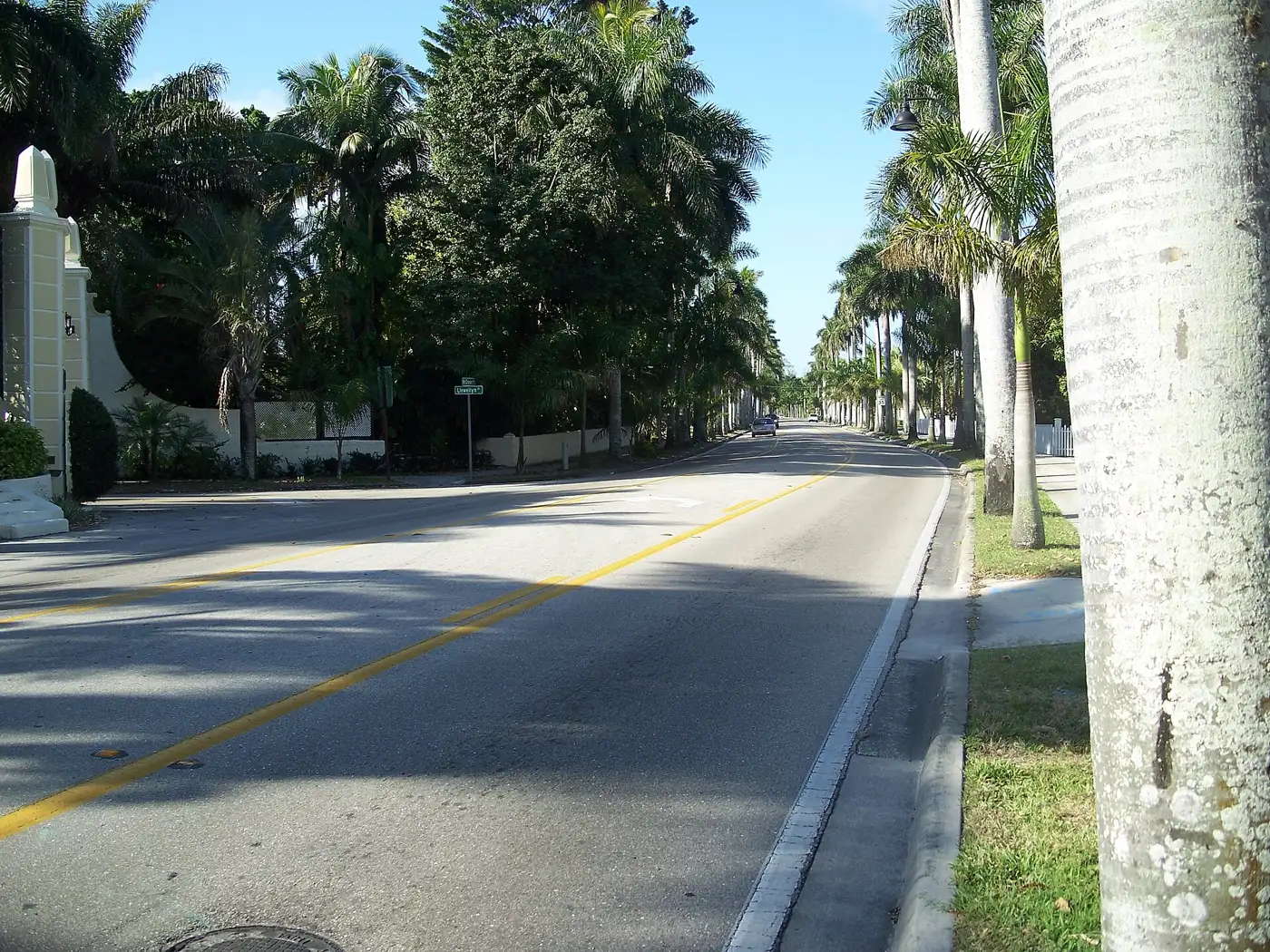 Royal palms line McGregor Boulevard in Fort Myers.