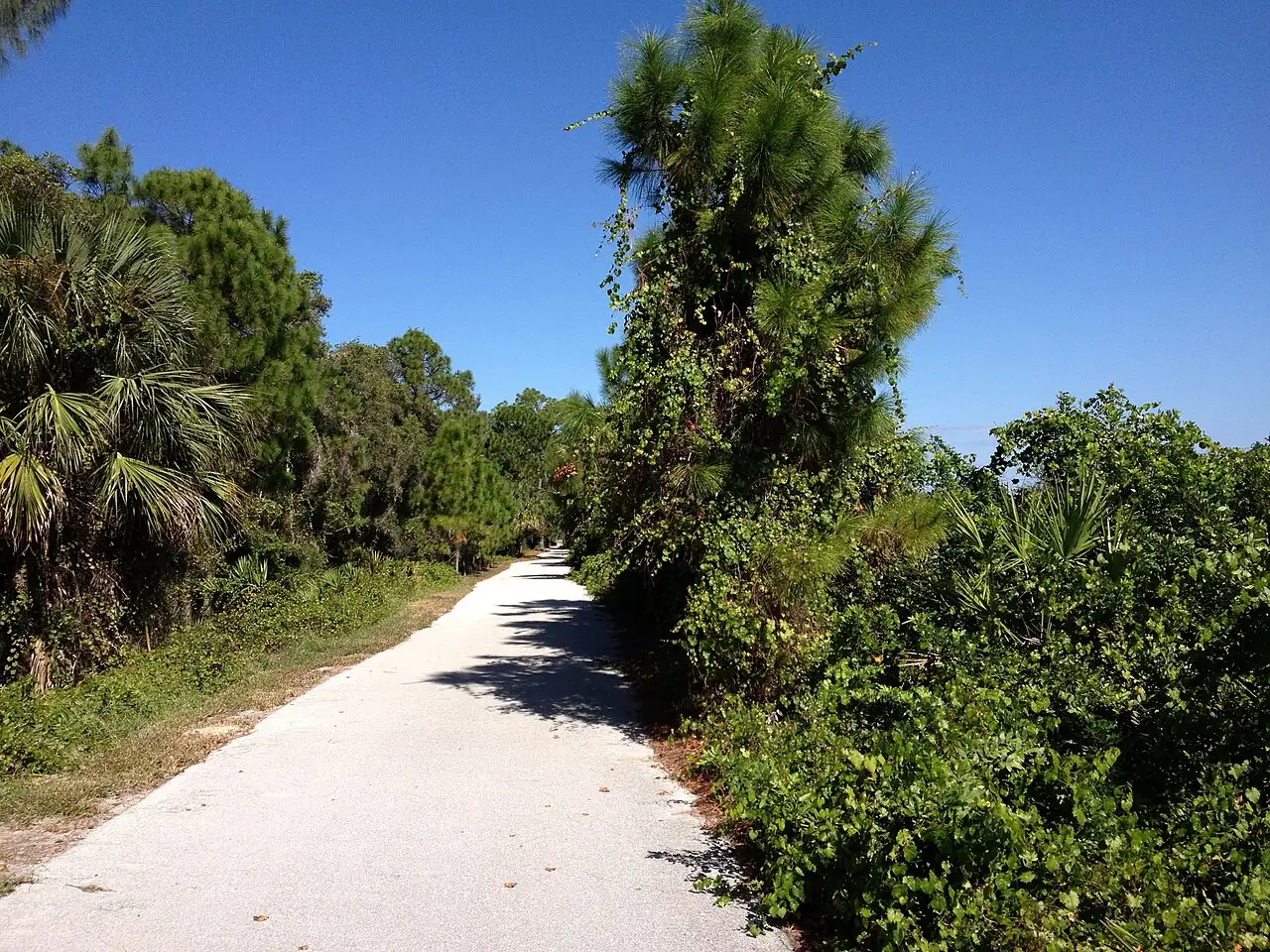 The John Yarbrough Linear Park trail, part of the Lee County Greenway, in Fort Myers.