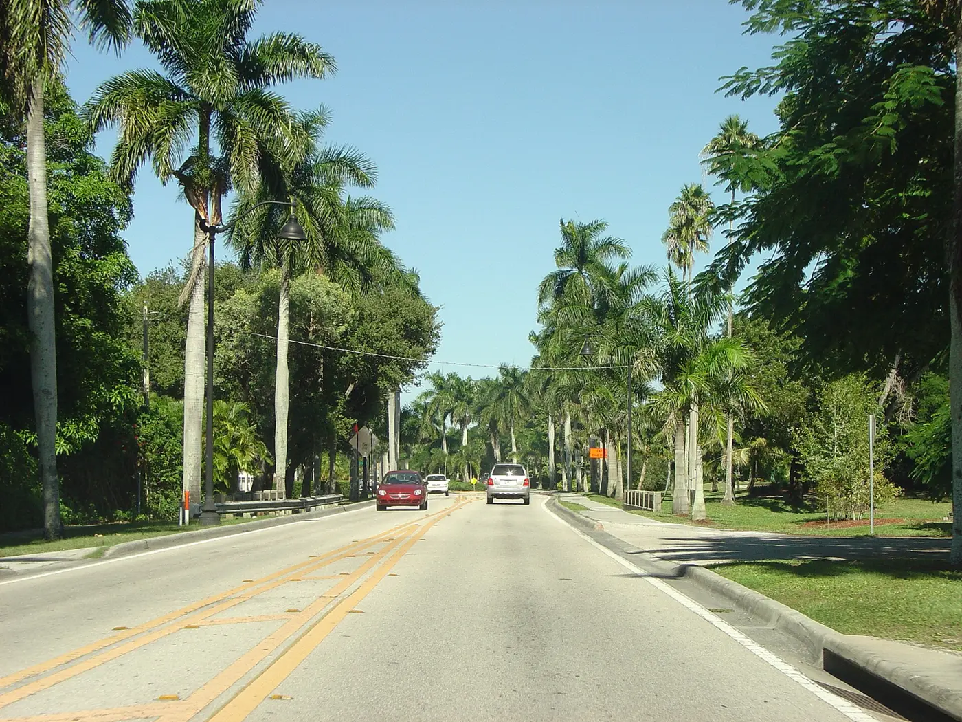 McGregor Boulevard (State Road 867), lined with royal palms, near downtown Fort Myers.