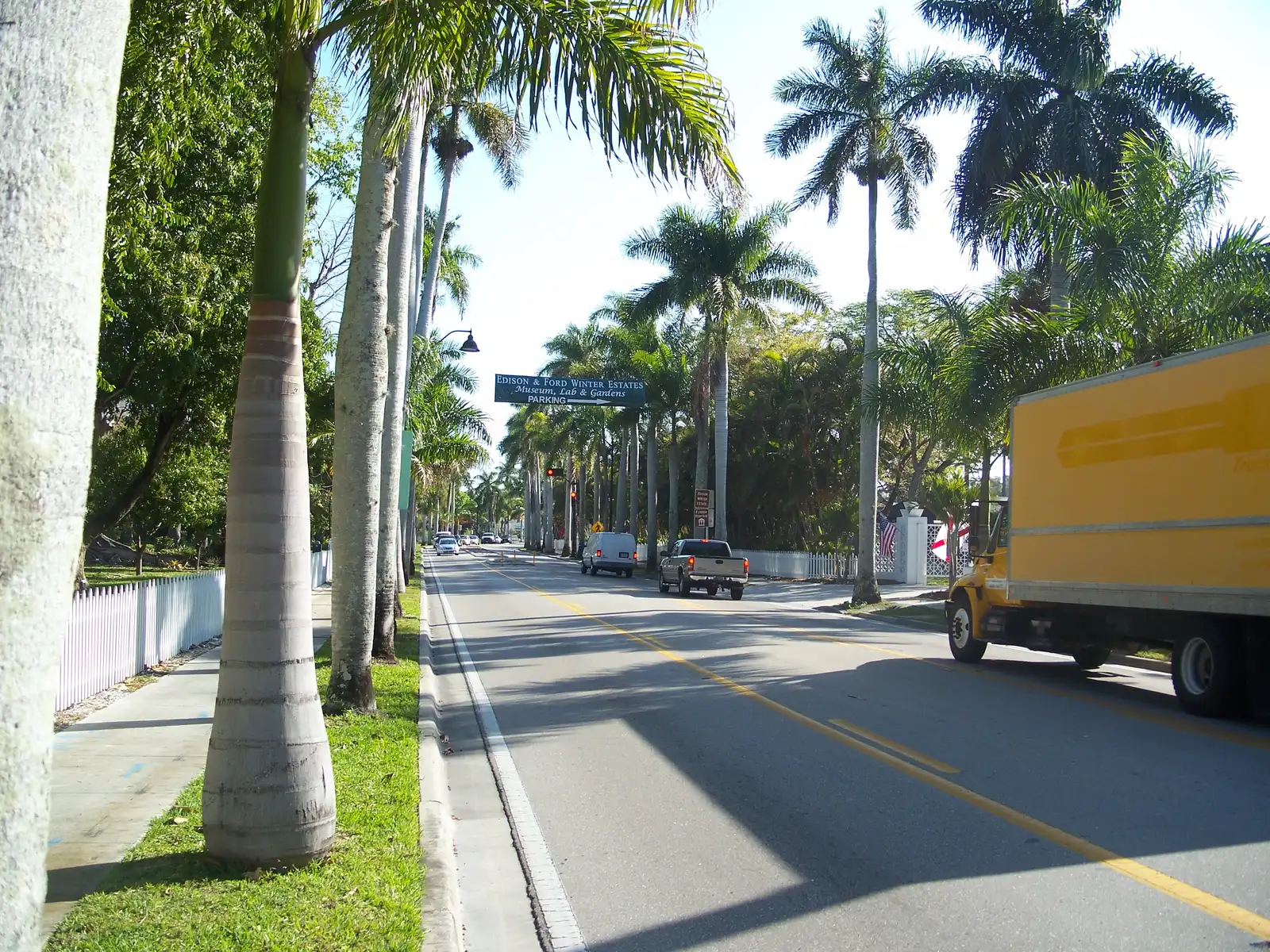 Royal palms line McGregor Boulevard in Fort Myers, the street where the Thanksgiving Day Turkey Trot starts.